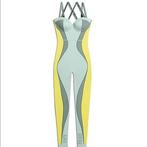 Adidas IVY PARK Beyoncé Catsuite